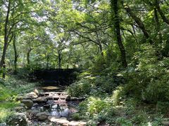 -句容茅山景区