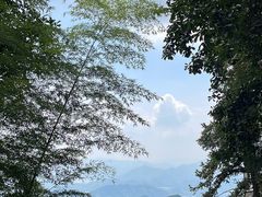 -莫干山风景区