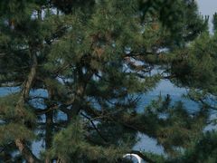 -棒棰岛宾馆景区