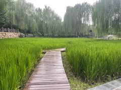 -北坞公园