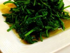 清炒豌豆尖-眉州东坡(春秀路店)