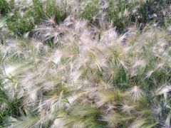 -长春公园(普阳街道)