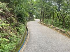 -广州市帽峰山景区