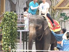-贵州森林野生动物园