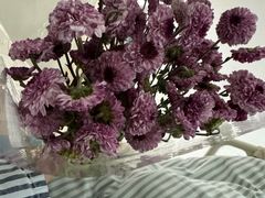 -安徽省第二人民医院(主院区)