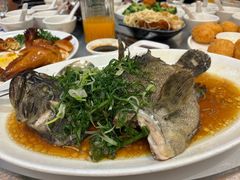 -海港酒家(上水新丰店)