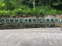 -野象谷景区