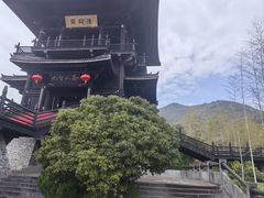 -大唐贡茶院