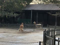 -南昌动物园