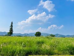 -良渚古城遗址公园
