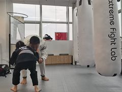 -EFL巴西柔术·综合格斗·泰拳·少儿体能训练(虹桥德必馆)