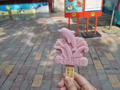 -海合安成都极地海洋公园