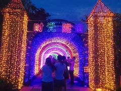 -杭州湾海上花田景区