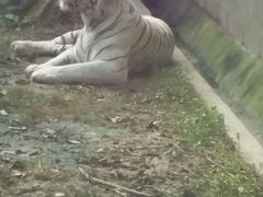 -万达影城(涪城万达广场激光IMAX店)