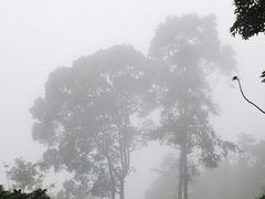 -广州市帽峰山景区