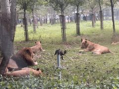 -秦皇岛野生动物园