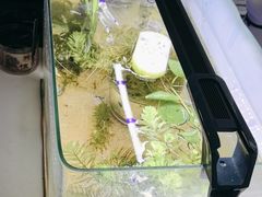 -郑远元专业修脚房(乐山通江街店)