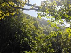 -桂林古东瀑布景区