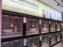 -翊宠yipet猫狗购宠庄园犬舍•猫舍