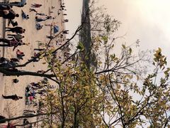 -八大关景区