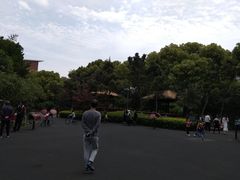 -圩墩遗址公园
