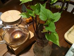 -十二舍·湯物素煮(江泰潤政店)