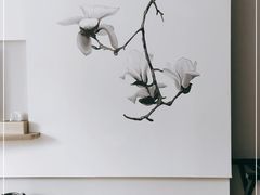 -白玉兰酒店(上海田子坊马当路地铁站店)