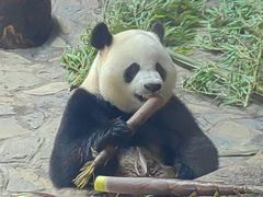 -乐和乐都主题乐园