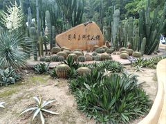 -深圳仙湖植物园