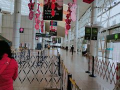 -国际邮轮中心码头(厦鼓码头)