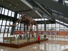 -泗洪县文化艺术中心