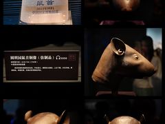 -广西壮族自治区博物馆