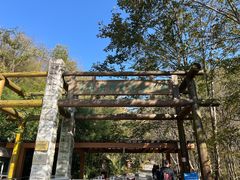 -牛背梁国家森林公园