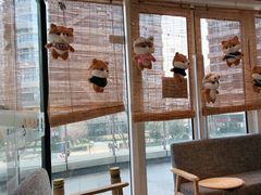 靠窗位-南京Hallo宠物乐园·哈罗犬舍·柴犬繁育基地
