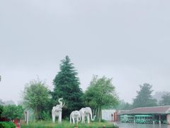 -贵州森林野生动物园