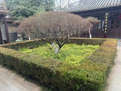 -梅园