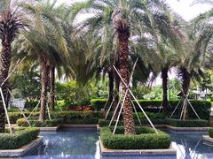 -三亚凤凰水城凯莱度假酒店