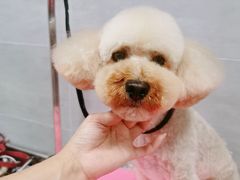 -宠福鑫康馨动物医院·骨科·眼科