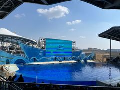 -上海海昌海洋公园