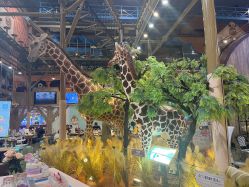 -卡通尼·Safari非洲探索乐园·生日会(金桥国际商业广场店)