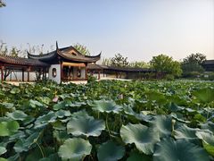 -上海滨江森林公园