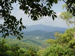 -火炉山森林公园