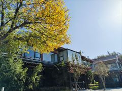 -济南大明湖景区