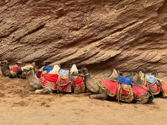 -天山神秘大峡谷