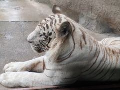 -齐齐哈尔龙沙动植物园
