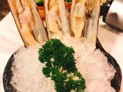 -鲜入围煮花胶鸡海鲜火锅