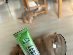 -豆逗聊愈猫阁Easy Life