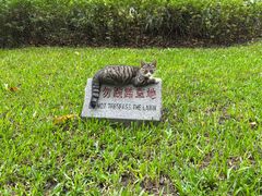 -晓港公园
