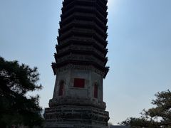 -西海子公园
