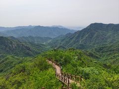 -大岭沟猕猴桃谷风景区